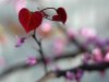 Spring Love: Embracing Renewal and Romance